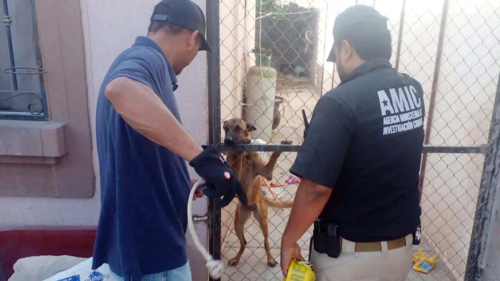 Perrita en Cajeme salvada